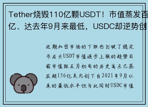 Tether烧毁110亿颗USDT！市值蒸发百亿、达去年9月来最低，USDC却逆势创新高